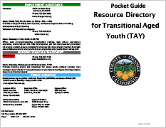 TAY Pocket Guide 01.02.24