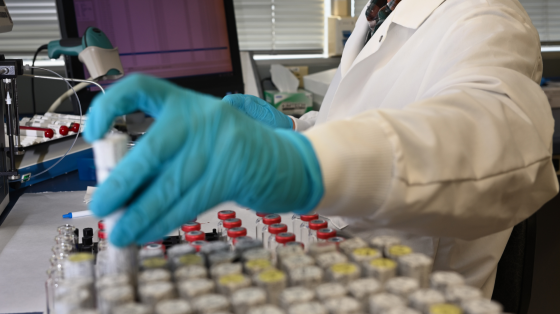 A person in a lab coat and blue gloves is selecting a vial from a rack of many vials, with a computer screen in the background.